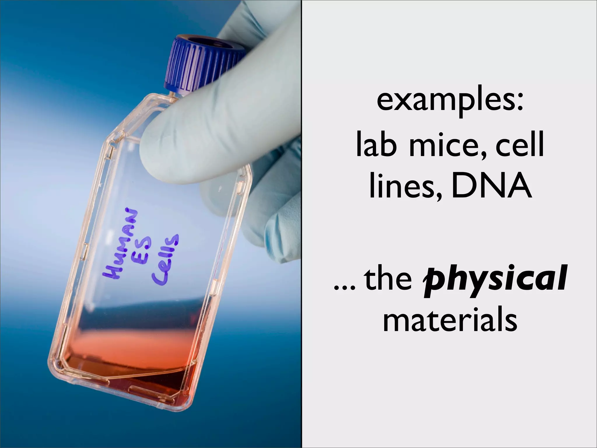 Laying out the Principles of Open Science