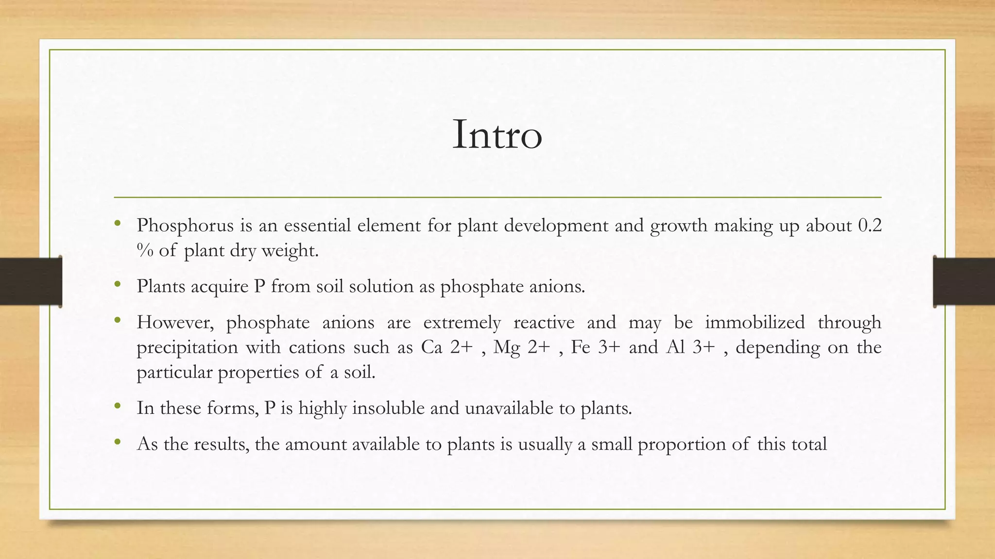 Phosphate Solubilising bacteria - Mass cultivation | PPTX