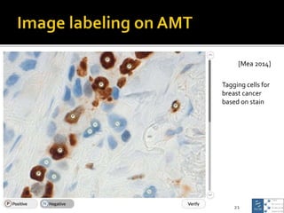21
[Mea 2014]
Tagging cells for
breast cancer
based on stain
 