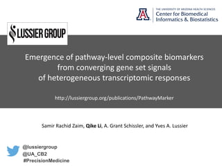 Samir Rachid Zaim, Qike Li, A. Grant Schissler, and Yves A. Lussier
Emergence of pathway-level composite biomarkers
from converging gene set signals
of heterogeneous transcriptomic responses
http://lussiergroup.org/publications/PathwayMarker
@lussiergroup
@UA_CB2
#PrecisionMedicine
 