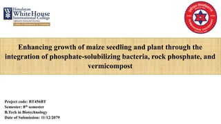 Enhancing growth of maize seedling and plant through the
integration of phosphate-solubilizing bacteria, rock phosphate, and
vermicompost
Project code: BT456BT
Semester: 8th semester
B.Tech in Biotechnology
Date of Submission: 11/12/2079
 