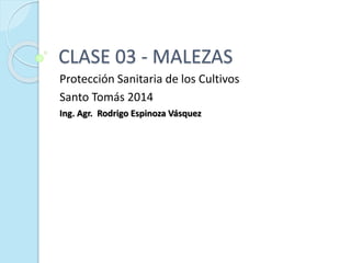 CLASE 03 - MALEZAS 
Protección Sanitaria de los Cultivos 
Santo Tomás 2014 
Ing. Agr. Rodrigo Espinoza Vásquez 
 