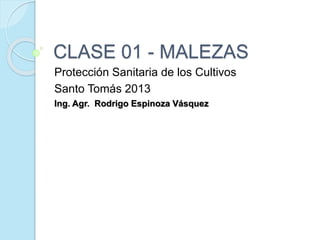 CLASE 01 - MALEZAS 
Protección Sanitaria de los Cultivos 
Santo Tomás 2013 
Ing. Agr. Rodrigo Espinoza Vásquez 
 