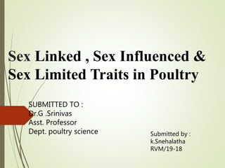 Sex Linked , Sex Influenced &
Sex Limited Traits in Poultry
SUBMITTED TO :
Dr.G .Srinivas
Asst. Professor
Dept. poultry science Submitted by :
k.Snehalatha
RVM/19-18
 
