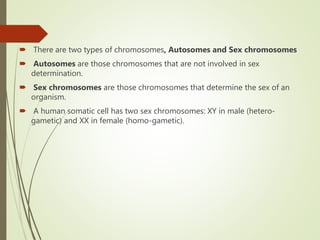 Sex Linked , Sex Influenced & Sex Limited Traits in Poultry PPTX