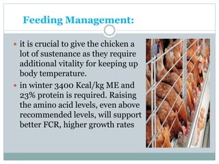 Feeding Management:
 it is crucial to give the chicken a
lot of sustenance as they require
additional vitality for keeping up
body temperature.
 in winter 3400 Kcal/kg ME and
23% protein is required. Raising
the amino acid levels, even above
recommended levels, will support
better FCR, higher growth rates
 