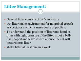 Litter Management:
 General litter consists of 25 % moisture
 wet litter make environment for microbial growth
as coccidiosis which causes death of poultry.
 To understand the position of litter one hand of
litter with light pressure if the litter is not a ball-
like shaped and leave it with at once then it will
better status litter
 shake litter at least one in a week
 