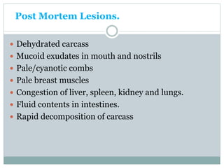 Post Mortem Lesions.
 Dehydrated carcass
 Mucoid exudates in mouth and nostrils
 Pale/cyanotic combs
 Pale breast muscles
 Congestion of liver, spleen, kidney and lungs.
 Fluid contents in intestines.
 Rapid decomposition of carcass
 