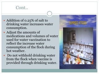 Cont..
 Addition of 0.25% of salt to
drinking water increases water
consumption.
 Adjust the amounts of
medications and volumes of water
used for water vaccination to
reflect the increase water
consumption of the flock during
hot weather.
 Do not withhold drinking water
from the flock when vaccine is
provided through drinking water.
 