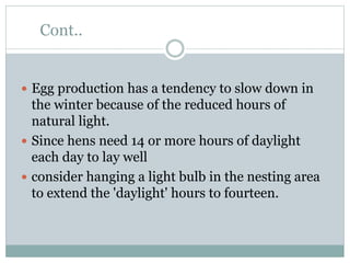 Cont..
 Egg production has a tendency to slow down in
the winter because of the reduced hours of
natural light.
 Since hens need 14 or more hours of daylight
each day to lay well
 consider hanging a light bulb in the nesting area
to extend the 'daylight' hours to fourteen.
 