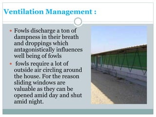 Ventilation Management :
 Fowls discharge a ton of
dampness in their breath
and droppings which
antagonistically influences
well being of fowls
 fowls require a lot of
outside air circling around
the house. For the reason
sliding windows are
valuable as they can be
opened amid day and shut
amid night.
 