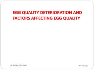 EGG QUALITY DETERIORATION AND
FACTORS AFFECTING EGG QUALITY
11/19/2020GURRAM SRINIVAS
 