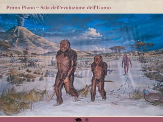 Primo Piano – Sala dell’evoluzione dell’Uomo
 