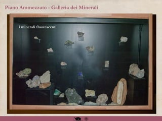 Piano Ammezzato - Galleria dei Minerali
i minerali fluorescenti
 