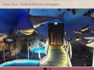 Piano Terra - Galleria delle Ere Geologiche
 