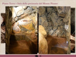 Piano Terra – Sala della preistoria del Monte Pisano
 