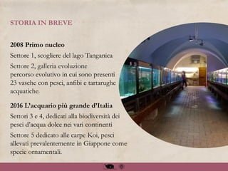 STORIA IN BREVE
2008 Primo nucleo
Settore 1, scogliere del lago Tanganica
Settore 2, galleria evoluzione
percorso evolutivo in cui sono presenti
23 vasche con pesci, anfibi e tartarughe
acquatiche.
2016 L’acquario più grande d’Italia
Settori 3 e 4, dedicati alla biodiversità dei
pesci d’acqua dolce nei vari continenti
Settore 5 dedicato alle carpe Koi, pesci
allevati prevalentemente in Giappone come
specie ornamentali.
 
