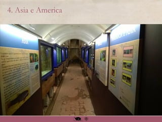 4. Asia e America
 