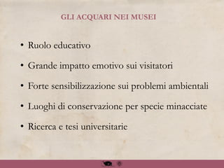GLI ACQUARI NEI MUSEI
• Ruolo educativo
• Grande impatto emotivo sui visitatori
• Forte sensibilizzazione sui problemi ambientali
• Luoghi di conservazione per specie minacciate
• Ricerca e tesi universitarie
 