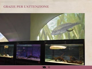 GRAZIE PER L’ATTENZIONE
 