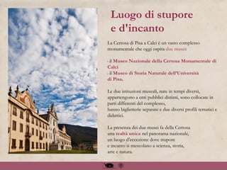Luogo di stupore
e d'incanto
La Certosa di Pisa a Calci è un vasto complesso
monumentale che oggi ospita due musei:
• il Museo Nazionale della Certosa Monumentale di
Calci
• il Museo di Storia Naturale dell’Università
di Pisa.
Le due istituzioni museali, nate in tempi diversi,
appartengono a enti pubblici distinti, sono collocate in
parti differenti del complesso,
hanno biglietterie separate e due diversi profili tematici e
didattici.
La presenza dei due musei fa della Certosa
una realtà unica nel panorama nazionale,
un luogo d’eccezione dove stupore
e incanto si mescolano a scienza, storia,
arte e natura.
 