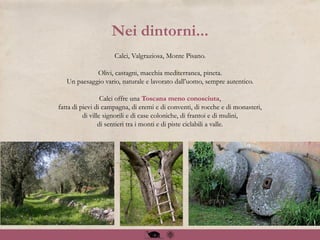 Calci, Valgraziosa, Monte Pisano.
Olivi, castagni, macchia mediterranea, pineta.
Un paesaggio vario, naturale e lavorato dall’uomo, sempre autentico.
Calci offre una Toscana meno conosciuta,
fatta di pievi di campagna, di eremi e di conventi, di rocche e di monasteri,
di ville signorili e di case coloniche, di frantoi e di mulini,
di sentieri tra i monti e di piste ciclabili a valle.
Nei dintorni...
 