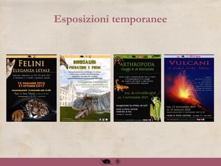 Esposizioni temporanee
 