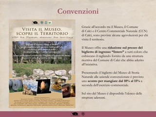 Convenzioni
Grazie all’accordo tra il Museo, il Comune
di Calci e il Centro Commerciale Naturale (CCN)
di Calci, sono previste alcune agevolazioni per chi
visita il territorio.
Il Museo offre una riduzione sul prezzo del
biglietto di ingresso “Intero” a tutti coloro che
esibiscano il tagliando fornito da una struttura
ricettiva del Comune di Calci che abbia aderito
all’iniziativa.
Presentando il biglietto del Museo di Storia
Naturale alle aziende convenzionate è previsto
uno sconto per mangiare dal 10% al 15% a
seconda dell’esercizio commerciale.
Sul sito del Museo è disponibile l’elenco delle
strutture aderenti.
 