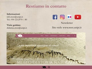 Restiamo in contatto
Informazioni:
info.msn@unipi.it
Tel.: 050 2212970 – 80
Visite guidate:
didattica.msn@unipi.it
Newsletter
Sito web: www.msn.unipi.it
 