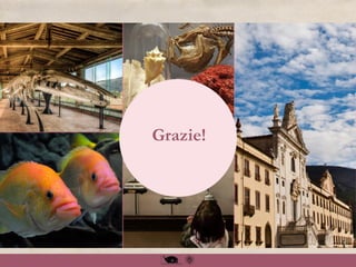 Grazie!
 