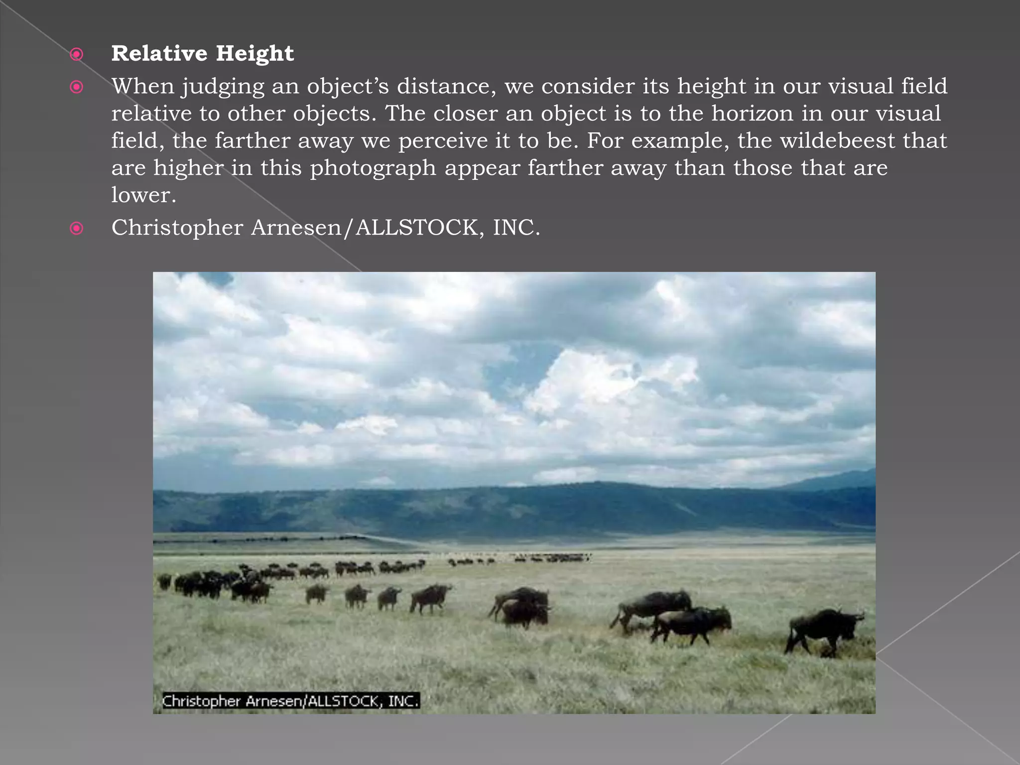    Relative Height
   When judging an object’s distance, we consider its height in our visual field
    relative to other objects. The closer an object is to the horizon in our visual
    field, the farther away we perceive it to be. For example, the wildebeest that
    are higher in this photograph appear farther away than those that are
    lower.
   Christopher Arnesen/ALLSTOCK, INC.
 