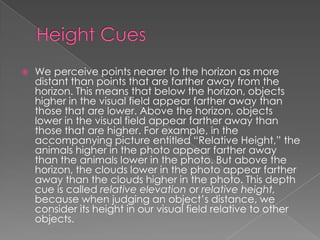Perceive Relative Psychology .. Perception | PPTX