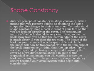    Another perceptual constancy is shape constancy, which
    means that you perceive objects as retaining the same
    s...