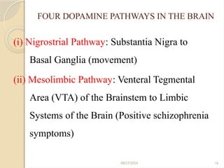 08/27/2024 16
FOUR DOPAMINE PATHWAYS IN THE BRAIN
(i) Nigrostrial Pathway: Substantia Nigra to
Basal Ganglia (movement)
(ii) Mesolimbic Pathway: Venteral Tegmental
Area (VTA) of the Brainstem to Limbic
Systems of the Brain (Positive schizophrenia
symptoms)
 