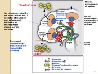 08/27/2024 40
Dopamine
Dopaminergic
Neurons
'Negative' and positive signs
Serotonin
Serotonergic neurons
Decreased
dopaminergic
transmission
in
mesocortical
pathway
Frontal
cortex
Limbic
system
Normal
dopaminergic
transmission in
nigrostriatal
pathway
Increased
dopaminergic
transmission in
mesolimbic
pathway
Raphe
nuclei
VTA
S.nigra
Serotonin secreted by
neurons causes 5-HT2
receptor stimulation
and subsequent
inhibition of
mesocortical
dopaminergic
neurons
Intact
extrapyrami
al system
'Negative' signs
Positive
'signs
 
