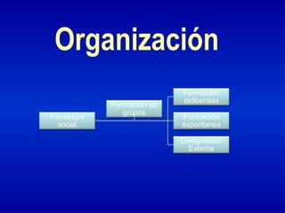 Organización
 