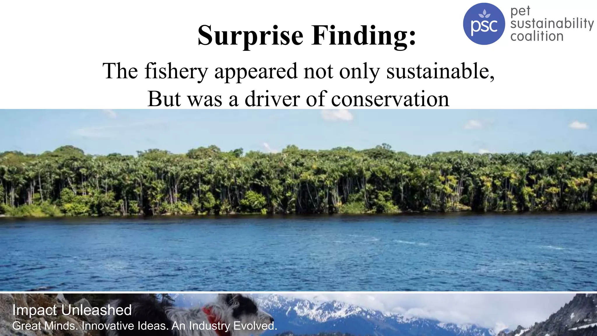 Impact Unleashed
Great Minds. Innovative Ideas. An Industry Evolved.
Surprise Finding:
The fishery appeared not only sustainable,
But was a driver of conservation
 
