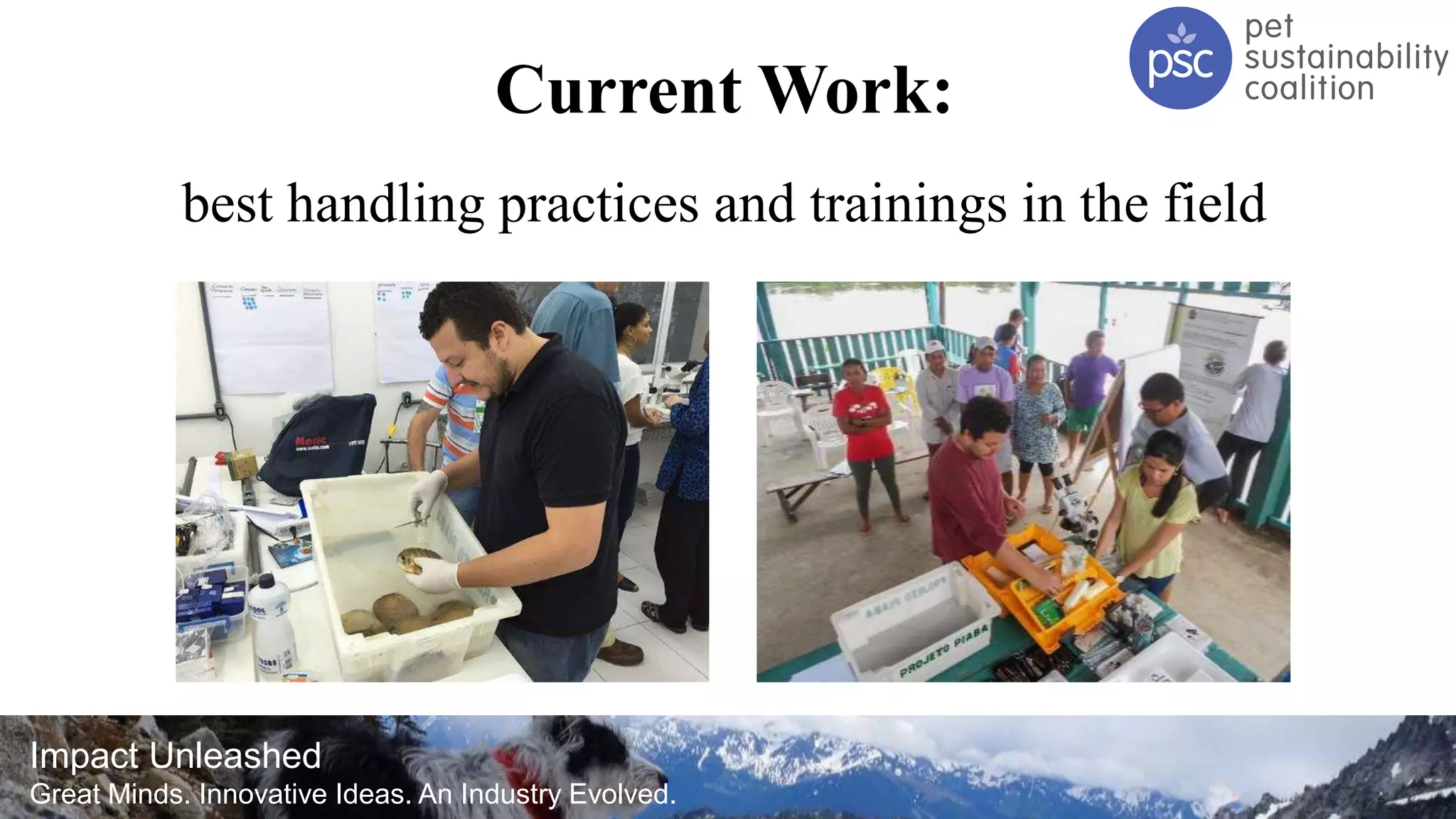 Impact Unleashed
Great Minds. Innovative Ideas. An Industry Evolved.
Current Work:
best handling practices and trainings in the field
 
