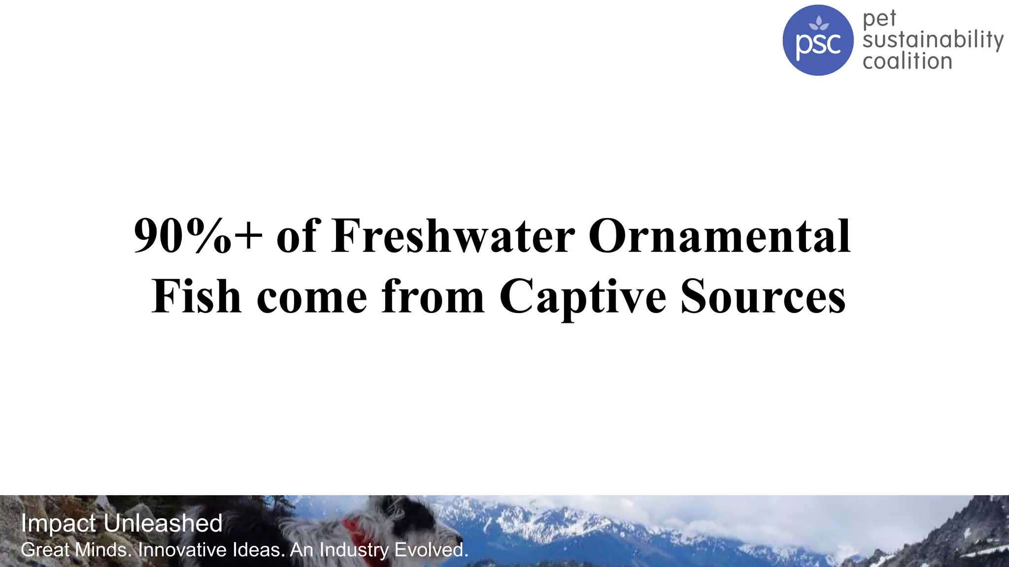 Impact Unleashed
Great Minds. Innovative Ideas. An Industry Evolved.
90%+ of Freshwater Ornamental
Fish come from Captive Sources
 
