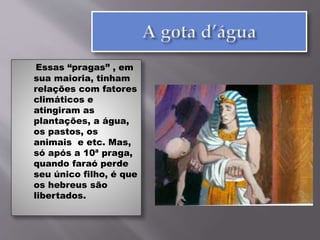 Essas “pragas” , em
sua maioria, tinham
relações com fatores
climáticos e
atingiram as
plantações, a água,
os pastos, os
animais e etc. Mas,
só após a 10ª praga,
quando faraó perde
seu único filho, é que
os hebreus são
libertados.
 