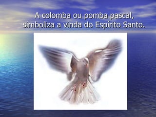 A colomba ou pomba pascal, simboliza a vinda do Espírito Santo.   
