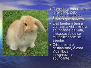 O coelho, símbolo da fertilidade, pelo grande número de filhotes que nascem. Eles também têm a ver com a vida, mas à abundância da vida, inesgotável, de se multiplicar sem se esgotar.  Cristo, para o cristianismo, é essa Vida Nova, inesgotável e abundante.  