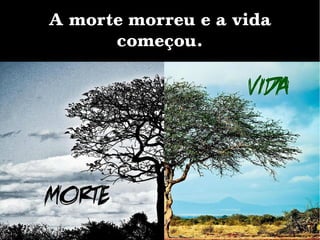 A morte morreu e a vida
começou.
 