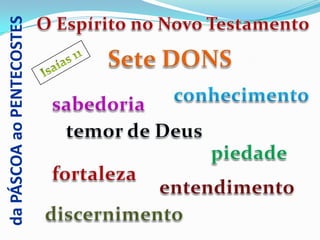 da PÁSCOA ao PENTECOSTES
 