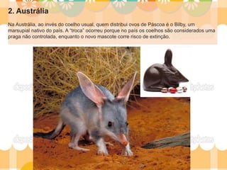 2. Austrália
Na Austrália, ao invés do coelho usual, quem distribui ovos de Páscoa é o Bilby, um
marsupial nativo do país. A “troca” ocorreu porque no país os coelhos são considerados uma
praga não controlada, enquanto o novo mascote corre risco de extinção.
 