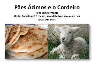 Pães Ázimos e o CordeiroPães sem fermentoBode, Cabrito até 8 meses, sem defeito e sem manchasErvas Amargas