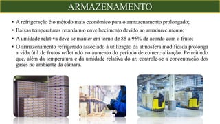 • A refrigeração é o método mais econômico para o armazenamento prolongado;
• Baixas temperaturas retardam o envelhecimento devido ao amadurecimento;
• A umidade relativa deve se manter em torno de 85 a 95% de acordo com o fruto;
• O armazenamento refrigerado associado à utilização da atmosfera modificada prolonga
a vida útil de frutos refletindo no aumento do período de comercialização. Permitindo
que, além da temperatura e da umidade relativa do ar, controle-se a concentração dos
gases no ambiente da câmara.
ARMAZENAMENTO
 