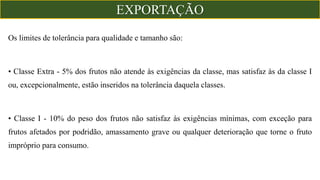 Os limites de tolerância para qualidade e tamanho são:
• Classe Extra - 5% dos frutos não atende às exigências da classe, mas satisfaz às da classe I
ou, excepcionalmente, estão inseridos na tolerância daquela classes.
• Classe I - 10% do peso dos frutos não satisfaz às exigências mínimas, com exceção para
frutos afetados por podridão, amassamento grave ou qualquer deterioração que torne o fruto
impróprio para consumo.
EXPORTAÇÃO
 