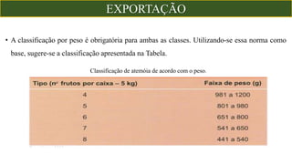 • A classificação por peso é obrigatória para ambas as classes. Utilizando-se essa norma como
base, sugere-se a classificação apresentada na Tabela.
Classificação de atemóia de acordo com o peso.
EXPORTAÇÃO
 