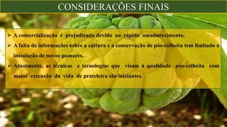 CONSIDERAÇÕES FINAIS
 A comercialização é prejudicada devido ao rápido amadurecimento.
 A falta de informações sobre a cultura e a conservação de pós-colheita tem limitado a
instalação de novos pomares.
 Atualmente, as técnicas e tecnologias que visam à qualidade pós-colheita com
maior extensão da vida de prateleira são iniciantes.
 